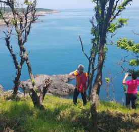 Красотата на Крайморска Странджа